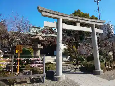 亀戸天神社の鳥居