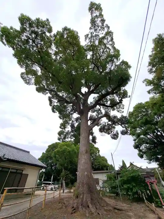 都波岐奈加等神社(三重県)
