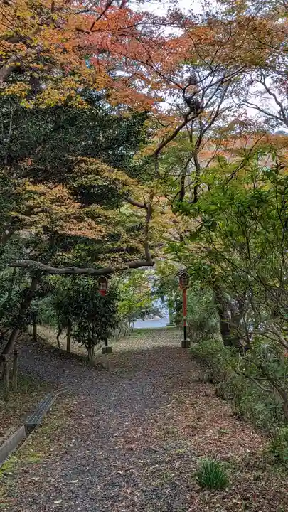 十輪寺(京都府)