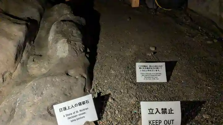 江の島岩屋の自然