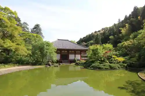 久安寺の庭園