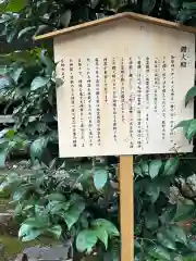 熊野大社鑽火殿(島根県)