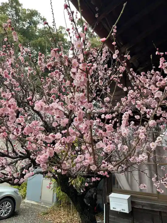 大御和神社(徳島県)
