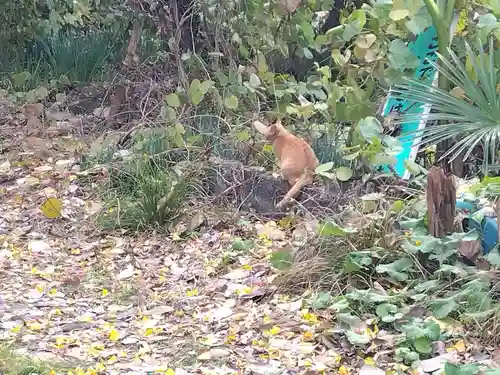 常昌寺(滋賀県)