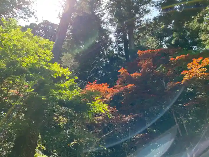 小國神社の{uncategorized: "未分類", other: "その他", undefined: "問題あり", building: "その他建物", grave: "お墓", sacred_gate: "鳥居", guardian: "狛犬", statue: "像", buddha: "仏像", history: "歴史", nature: "自然", garden: "庭園", animal: "動物", pagoda: "塔", temizu: "手水舎", mountain_gate: "山門・神門", sanctuary: "本殿・本堂", subordinate: "末社・摂社", art: "芸術", scenery: "景色", jizo: "地蔵", ema: "絵馬", goshuin: "御朱印", omikuji: "おみくじ", items: "授与品その他", amulet: "お守り", goshuincho: "御朱印帳", eats: "食事", festival: "お祭り", votive_dance: "神楽", shichigosan: "七五三参", wedding: "結婚式", experience: "体験その他", initially: "初詣", around: "周辺", anti_infection: "感染症対策"}