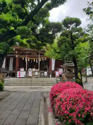 鳩森八幡神社(東京都)