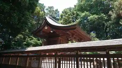 三ケ尻八幡神社の本殿・本堂