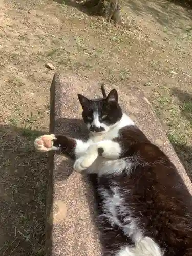 玉野御嶽神社の動物