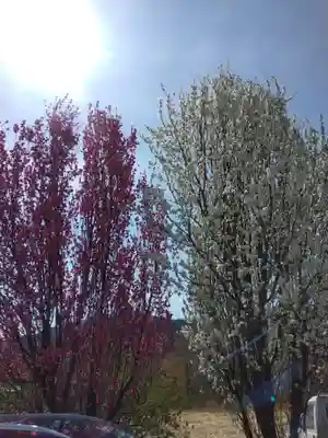 実相寺(山梨県)