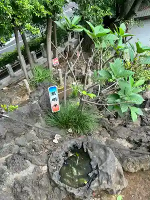 千駄ヶ谷冨士浅間神社(東京都)