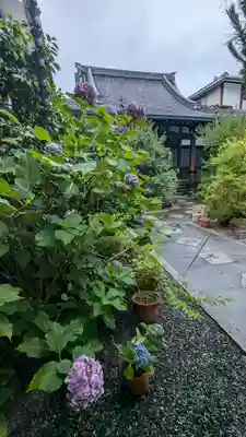 長徳寺(京都府)