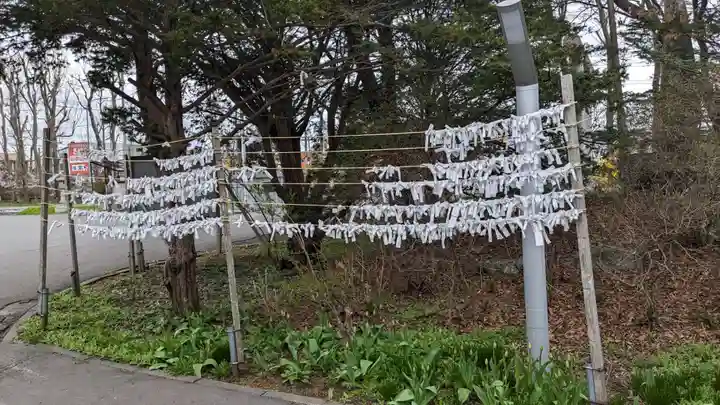 鳥取神社のおみくじ