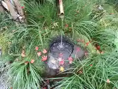 祇王寺の手水