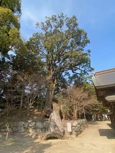與止日女神社(佐賀県)