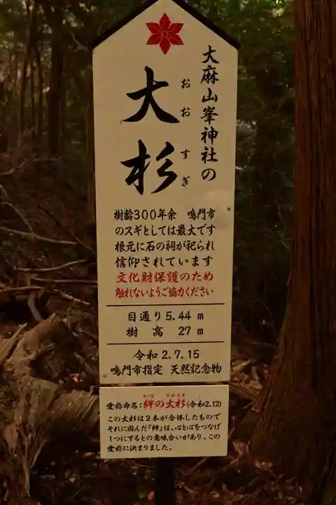 峯神社(大麻比古神社奥宮)(徳島県)