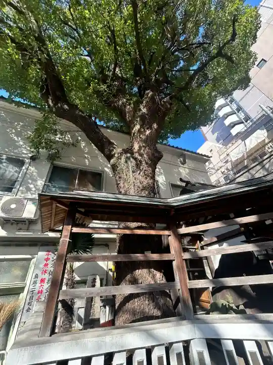 鳥越神社(東京都)