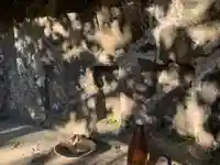 八幡神社(千葉県)