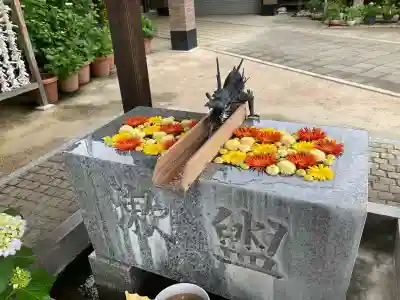 川越八幡宮の{uncategorized: "未分類", other: "その他", undefined: "問題あり", building: "その他建物", grave: "お墓", sacred_gate: "鳥居", guardian: "狛犬", statue: "像", buddha: "仏像", history: "歴史", nature: "自然", garden: "庭園", animal: "動物", pagoda: "塔", temizu: "手水舎", mountain_gate: "山門・神門", sanctuary: "本殿・本堂", subordinate: "末社・摂社", art: "芸術", scenery: "景色", jizo: "地蔵", ema: "絵馬", goshuin: "御朱印", omikuji: "おみくじ", items: "授与品その他", amulet: "お守り", goshuincho: "御朱印帳", eats: "食事", festival: "お祭り", votive_dance: "神楽", shichigosan: "七五三参", wedding: "結婚式", experience: "体験その他", initially: "初詣", around: "周辺", anti_infection: "感染症対策"}