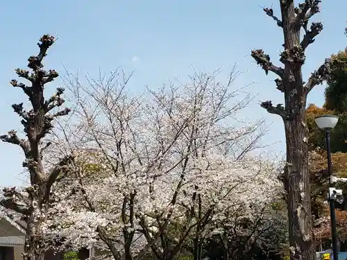 宝仙寺(東京都)
