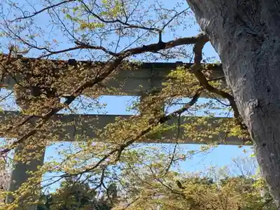 足羽神社のその他建物