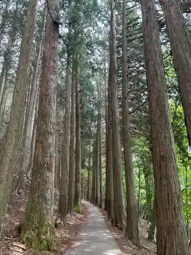三峯神社(埼玉県)