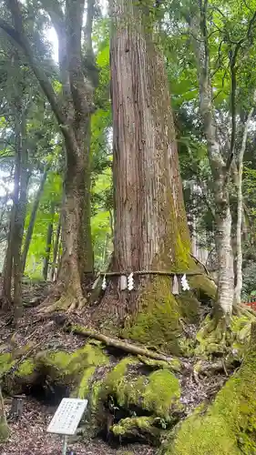 貴船神社(京都府)