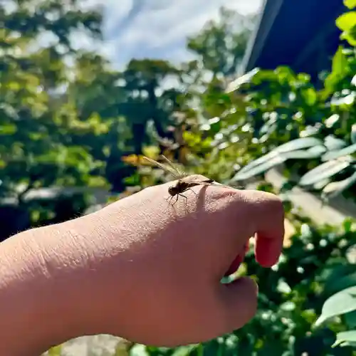 伊勢の国 四天王寺(三重県)