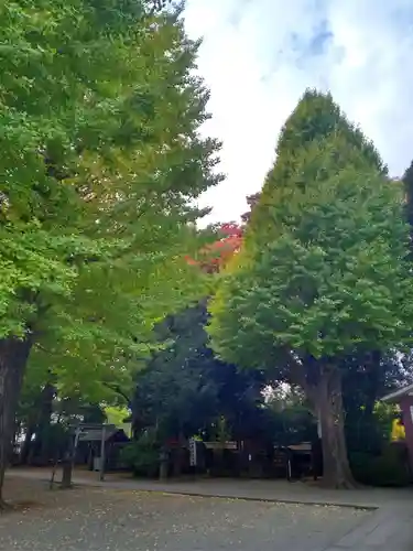 平塚神社(東京都)