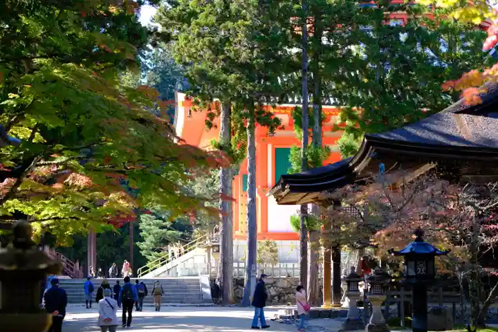 壇上伽藍(和歌山県)