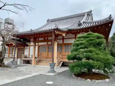 悟眞寺（悟真寺）の本殿・本堂