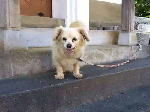 各願寺(富山県)