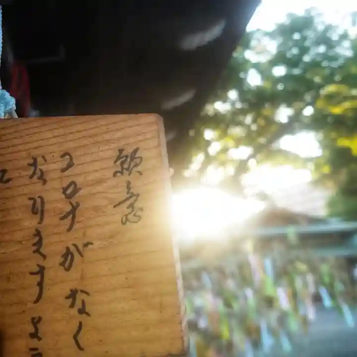 尾張大國霊神社(国府宮)の絵馬