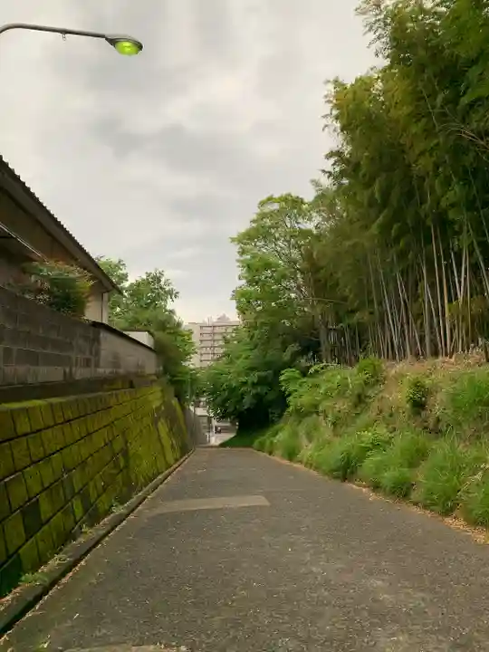 諏訪神社の周辺