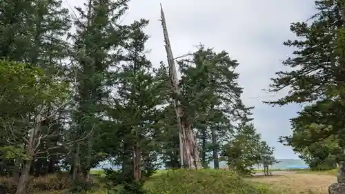 共成神社の自然