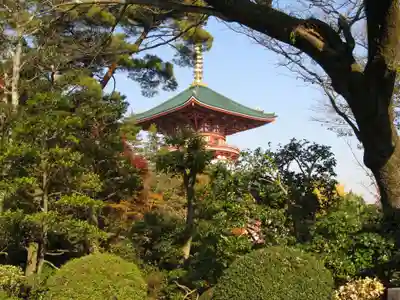 成田山新勝寺(千葉県)