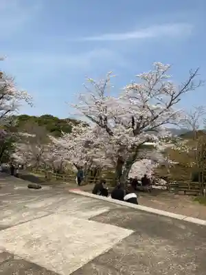消防神社(秋葉神社)の周辺