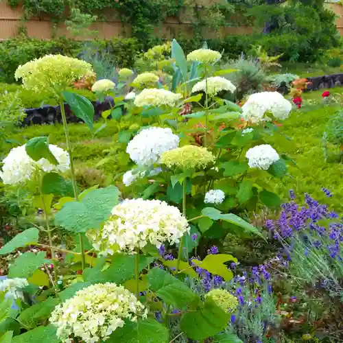 寿量山　速成寺(奈良県)