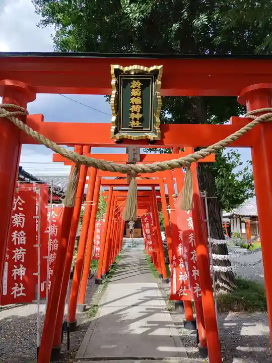 於菊稲荷神社(群馬県)