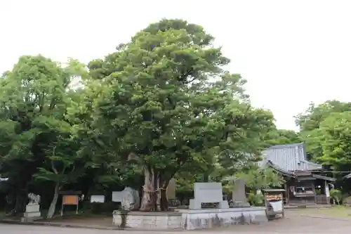 鶴谷八幡宮の自然