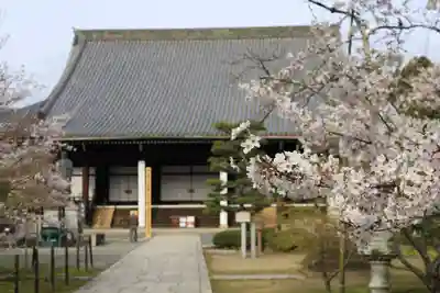 光明寺（粟生光明寺）(京都府)
