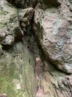 韓竈神社の自然