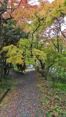 十輪寺(京都府)