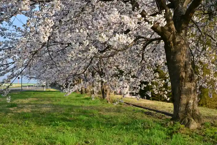 菅原神社(新潟県)