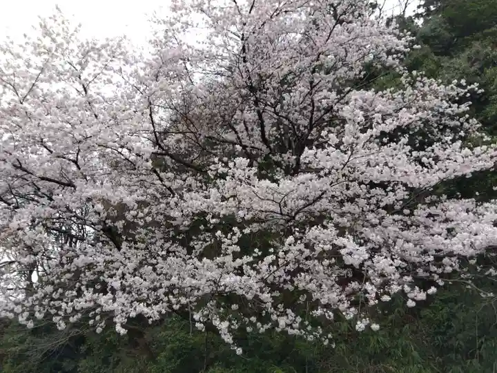 春日神社(福井県)