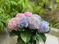 伊勢の国 四天王寺の自然