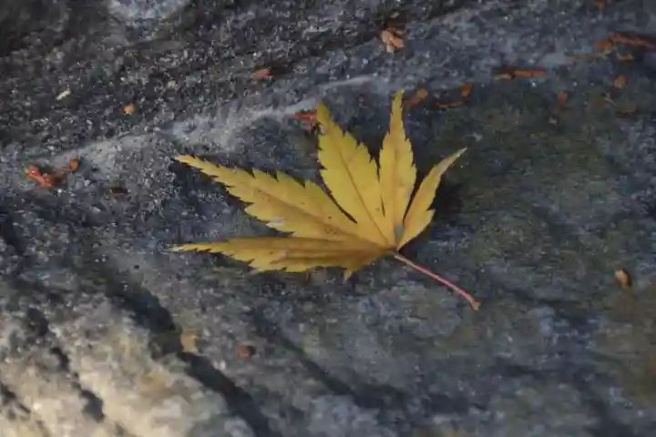 滑川神社 - 仕事と子どもの守り神の自然