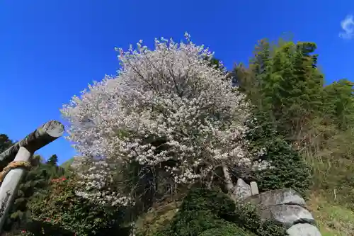 見渡神社の庭園