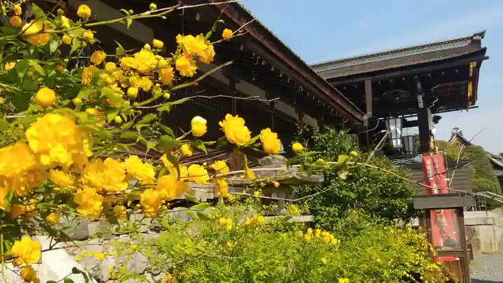 松尾大社のその他建物