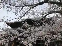 粉河寺の自然