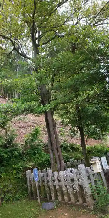 月読神社(松尾大社摂社)の自然